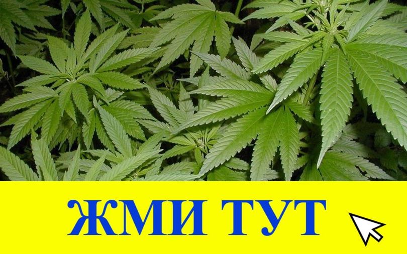 Купить наркотики в Крымске